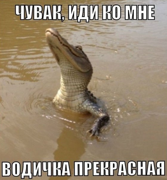   - 1  2016  22:08