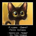 ���� Elena, ������, 52 ���� - ��������� 11 ������� 2015 � ������ ���� ����������
