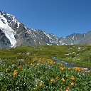  , -, 53  -  16  2015    