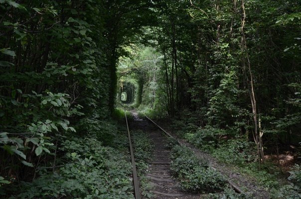     , .#@travel.blog - 7