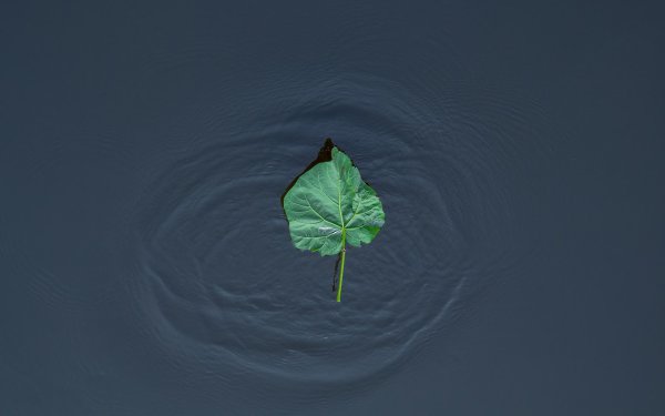    - 22  2015  10:30