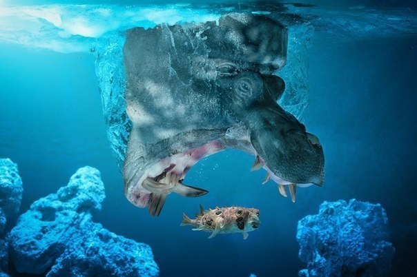        (John Wilhelm) - 5