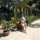 ������� ������ 2016 �� ������� �������� ������ 2016�