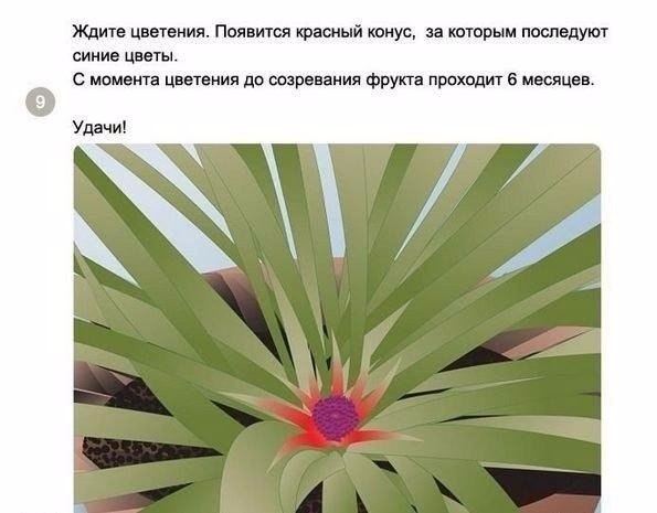��� ��������� ������ � �������� ��������? - 9