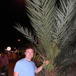 ���������, ����-���, 47 ���