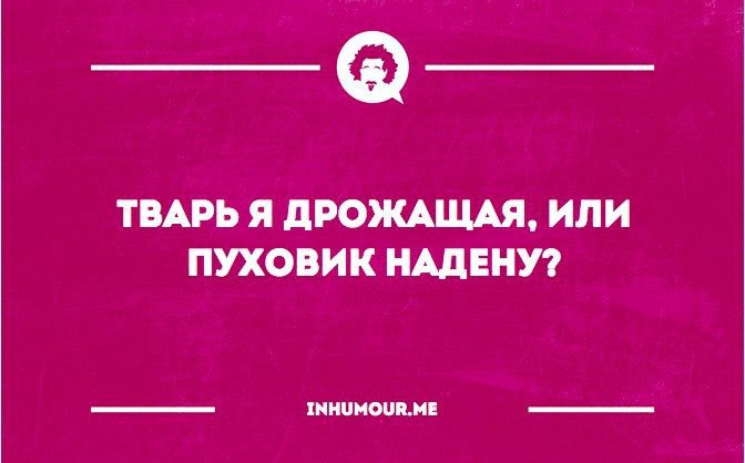 Или тварь дрожащая цитата из какого. Тварь я дрожащая или пуховик надену. тварь я дрожащая или плед принесете.