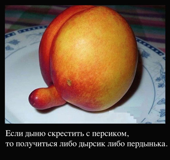  - 1  2015  07:16