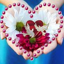 ���� ������, ����� - ��������� 7 ������� 2016 � ������ ������ ��������