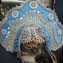 ���� �����, ������ - ��������� 12 ������� 2015 � ������ ����� ���������� ����������