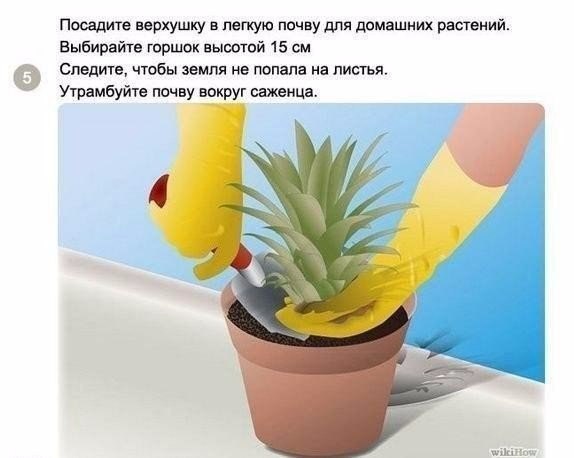 ��� ��������� ������ � �������� ��������? - 5