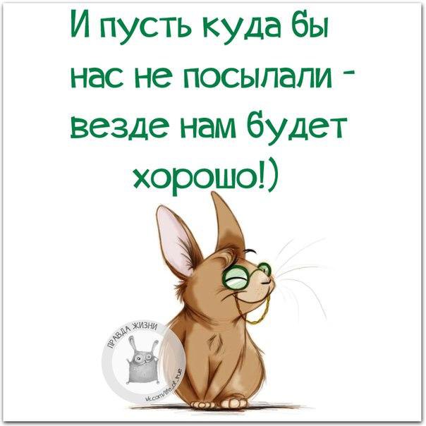   - 3  2015  20:14