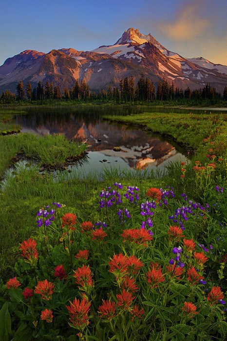  Kevin McNeal.2. - 3