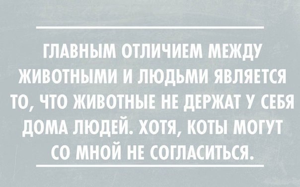 ��� "�" - 22 ������ 2015 � 02:56