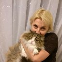 ���� �����, ������������ - ��������� 19 ������� 2015 � ������ ���� ����������