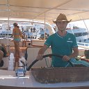 ���� ������, �������, 49 ��� - ��������� 15 ������ 2015 � ������ �������