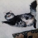 ���� Vinni Kolss, ������ ��������, 58 ��� - ��������� 18 ������� 2016 � ������ ���� ����������