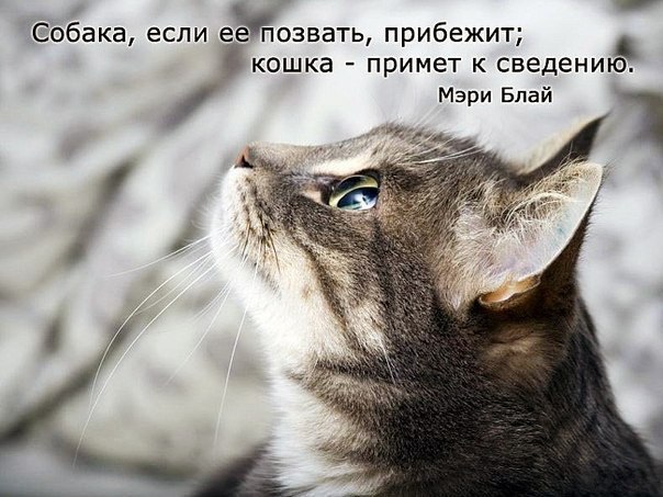       - 5  2016  18:20