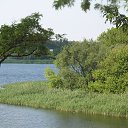 ���� �����, ��������, 55 ��� - ��������� 6 ����� 2016 � ������ ������