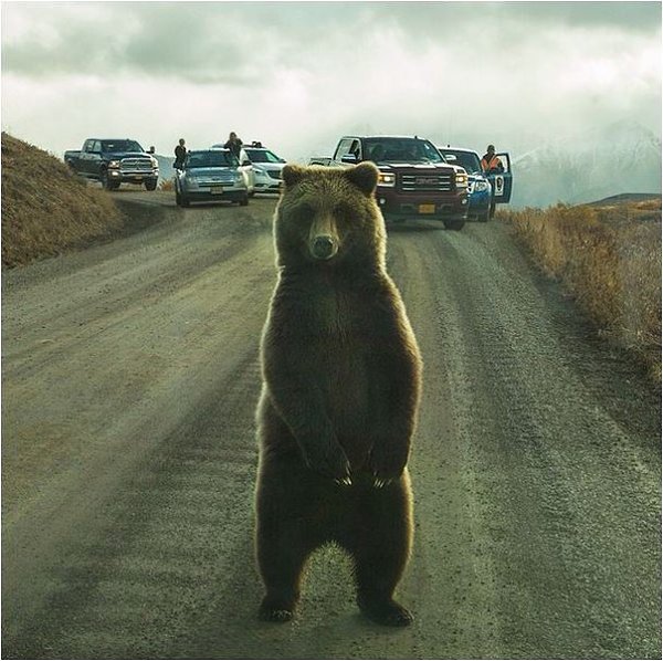 фото из Инстаграма National Geographic