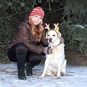 ���� �������, �����, 47 ��� - ��������� 1 ������ 2015 � ������ ��)�