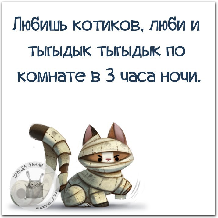   - 25  2016  18:17