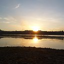  ,  -  24  2015   20.11.2015.