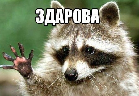     ,    .  ?