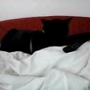 ���� K1 ( ���� ), �����, 50 ��� - ��������� 1 ������ 2016 � ������ �Milakove�