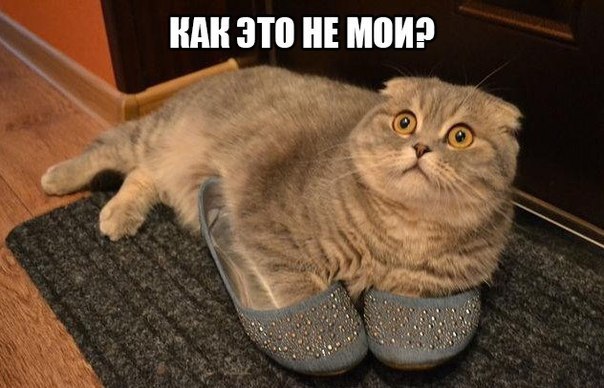    - 16  2015  01:10