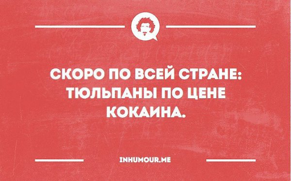   - 6  2016  08:55