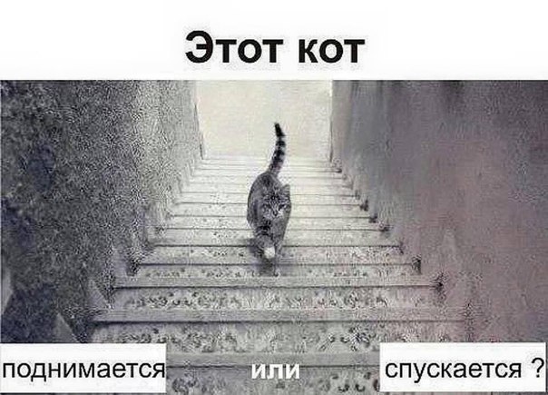   - 3  2016  23:15
