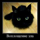 ���� ������, �������, 50 ��� - ��������� 6 ������� 2015