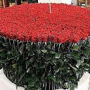 ���� ����, ������, 54 ���� - ��������� 22 ������� 2016 � ������ �������������