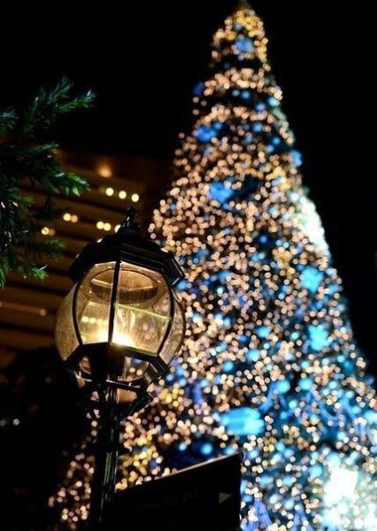 ||  ... || - 6  2015  18:50 - 5