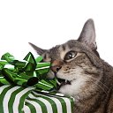 ���� E����, ��������� - ��������� 5 ������� 2016 � ������ ������ ��������