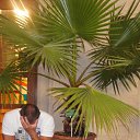 ���� ��� �����, ������, 47 ��� - ��������� 20 ������� 2015