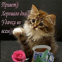 ���� ������, ������ - ��������� 29 ������ 2015 � ������ �������� ��������