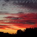 ���� �����, �����, 64 ���� - ��������� 12 ������� 2015 � ������ �"��������" �������� (1.10.2015)�