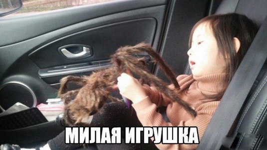   - 7  2016  12:14
