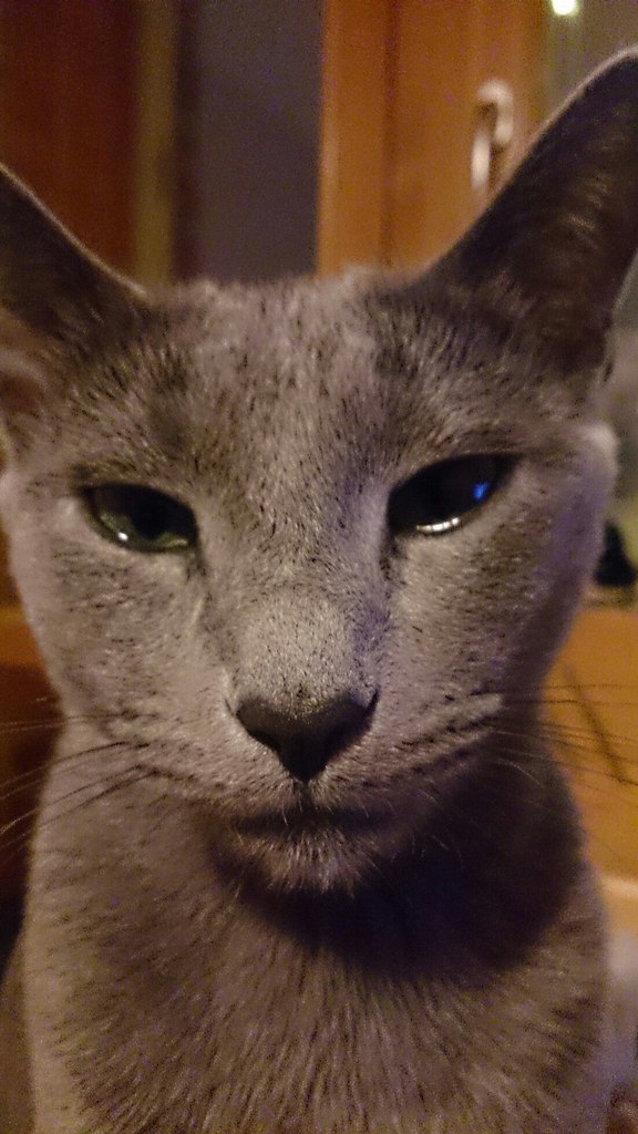 -,    !