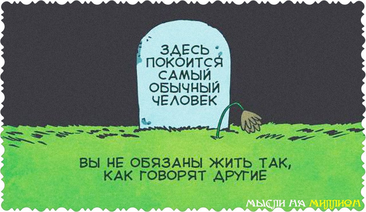    - 16  2015  16:41