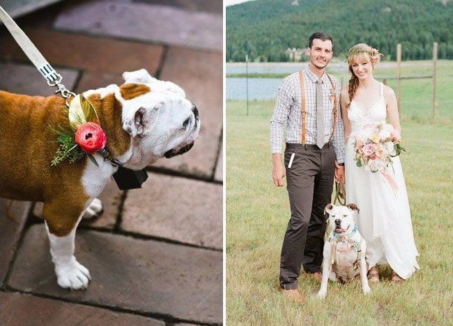     ! #wedding_decor@https://fotostrana.ru/away?to=/sl/XE2 - 7