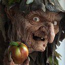 ���� ����, ������� ������ - ��������� 11 ������� 2015 � ������ ���� ����������