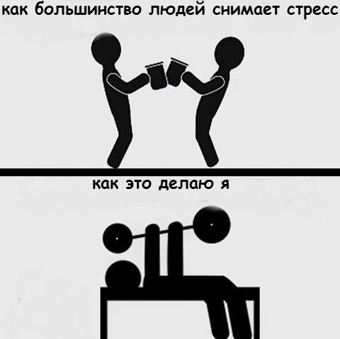  -   - 1  2016  17:36
