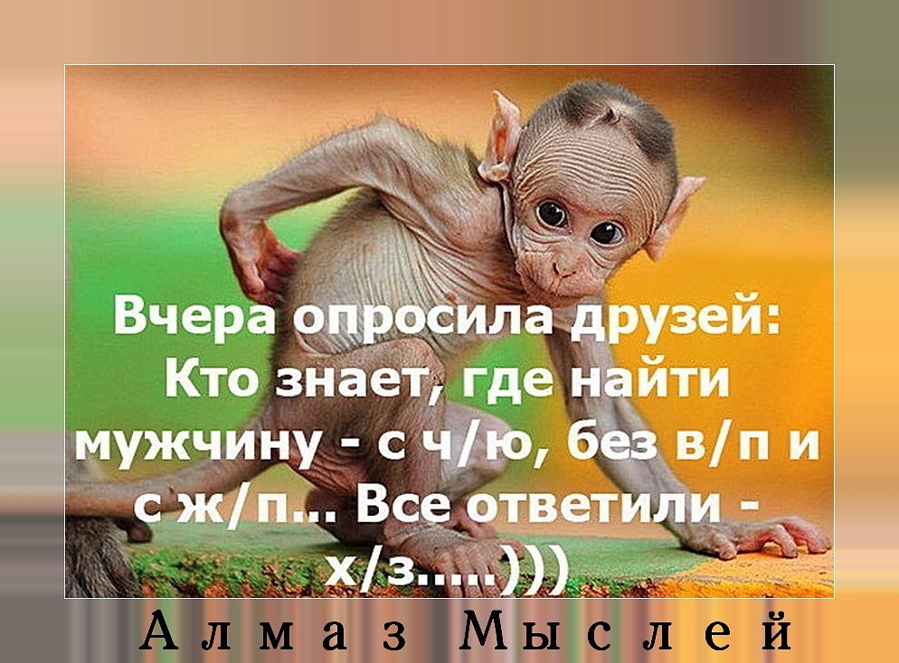    - 25  2016  17:42