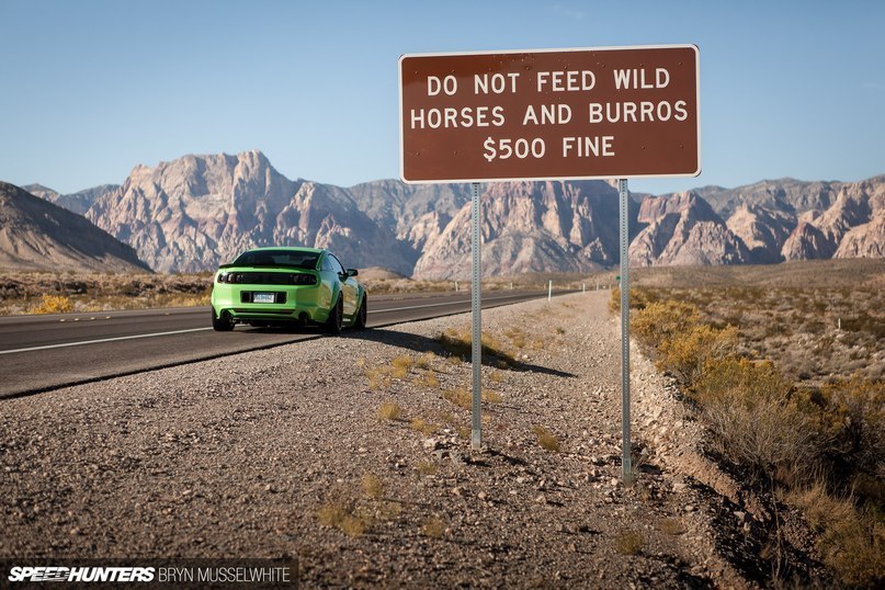 Ford Mustang RTR. - 4