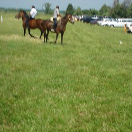 ������, ������, 73 ����