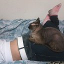 ���� ������, ���������, 45 ��� - ��������� 11 ������ 2016 � ������ ������