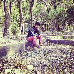 Ferari, ���������