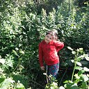 ���� ���, ������, 28 ��� - ��������� 18 ������� 2015 � ������ ���� ����������